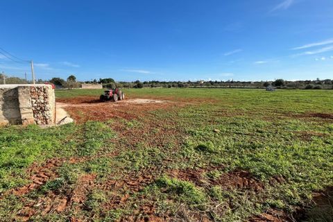 Helårsgrund i Manacor, Mallorca, Manacor - € 390.000 | Ref: 82862 - foto 1