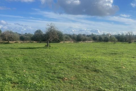 Helårsgrund i Manacor, Mallorca, Manacor - € 390.000 | Ref: 82862 - foto 2