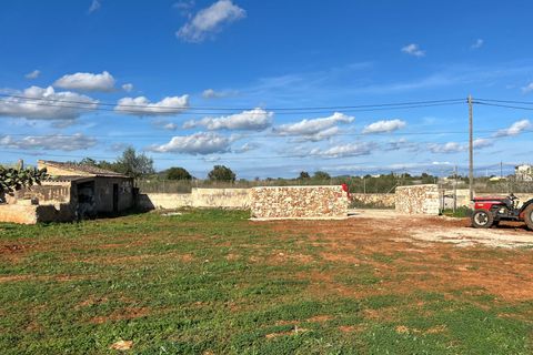 Helårsgrund i Manacor, Mallorca, Manacor - € 390.000 | Ref: 82862 - foto 3