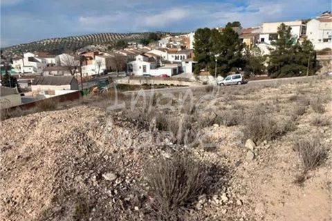 Tomt i Noguerones, Jaen, Noguerones - € 25 000 | Ref: PL318 - foto 6