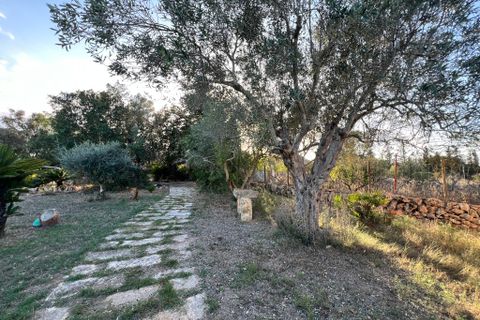 Villa a Costitx, Mallorca, Costitx - € 620.000 | Ref: 2271 - foto 6