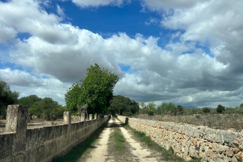 Villa a Costitx, Mallorca, Costitx - € 620.000 | Ref: 2271 - foto 8