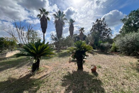 Villa a Costitx, Mallorca, Costitx - € 620.000 | Ref: 2271 - foto 12