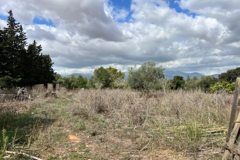 Villa a Costitx, Mallorca, Costitx - € 620.000 | Ref: 2271 - foto 15