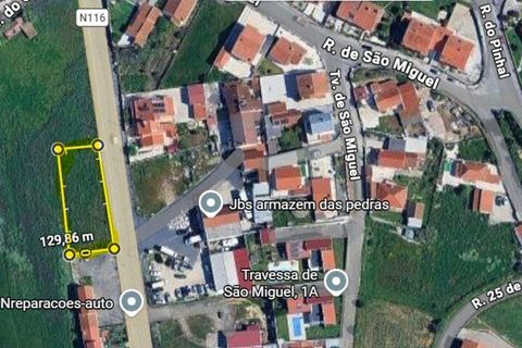 Terra a Mafra, Lisbon, Mafra - € 180.000 | Ref: 743525 - foto 2