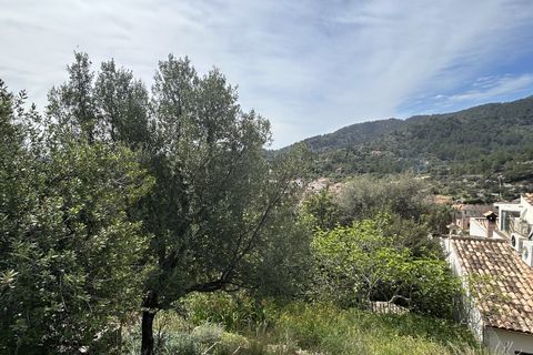Terra a Alaro, Mallorca, Alaro - € 650.000 | Ref: 6939 - foto 2