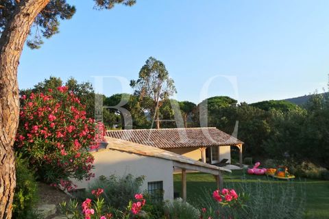 Landejendom i Ramatuelle, Var, Ramatuelle - € 8.500.000 | Ref: XP01554 - foto 36