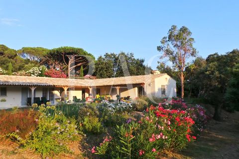 Landejendom i Ramatuelle, Var, Ramatuelle - € 8.500.000 | Ref: XP01554 - foto 37