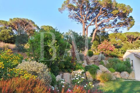 Landejendom i Ramatuelle, Var, Ramatuelle - € 8.500.000 | Ref: XP01554 - foto 39