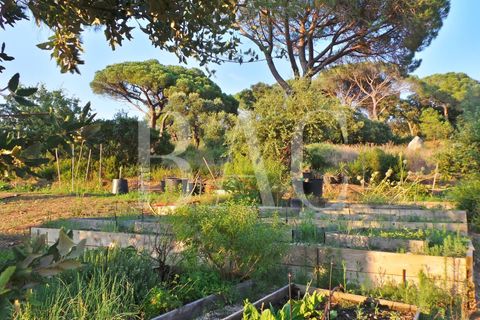 Landejendom i Ramatuelle, Var, Ramatuelle - € 8.500.000 | Ref: XP01554 - foto 40