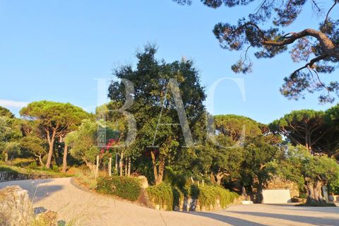 Landejendom i Ramatuelle, Var, Ramatuelle - € 8.500.000 | Ref: XP01554 - foto 41