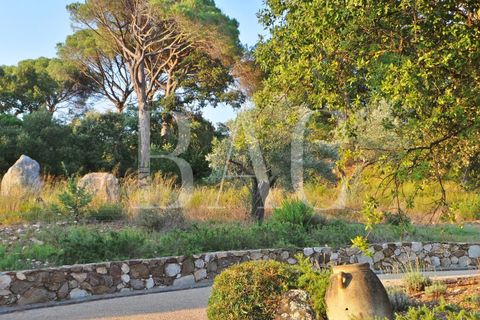 Landejendom i Ramatuelle, Var, Ramatuelle - € 8.500.000 | Ref: XP01554 - foto 42