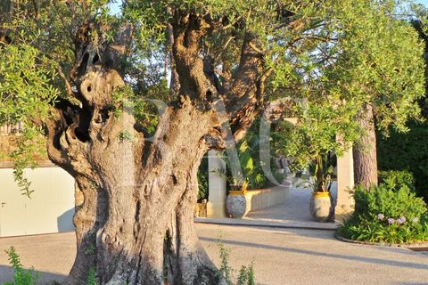 Landejendom i Ramatuelle, Var, Ramatuelle - € 8.500.000 | Ref: XP01554 - foto 43