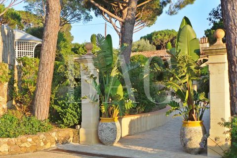 Landejendom i Ramatuelle, Var, Ramatuelle - € 8.500.000 | Ref: XP01554 - foto 44