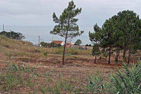 Rækkehus i Nazare, Leiria, Nazare - € 500.000 | Ref: HAB_4 - foto 1