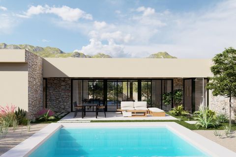 Villa - Yecla, Murcia, Yecla - € 800 000 | Réf : GB-13789 - photo 2