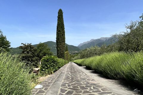 Erhvervsejendom i Bagnone, Massa and Carrara, Bagnone - € 2.490.000 | Ref: 026A - foto 35
