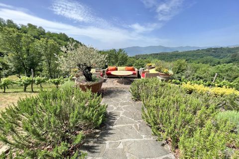 Erhvervsejendom i Bagnone, Massa and Carrara, Bagnone - € 2.490.000 | Ref: 026A - foto 36