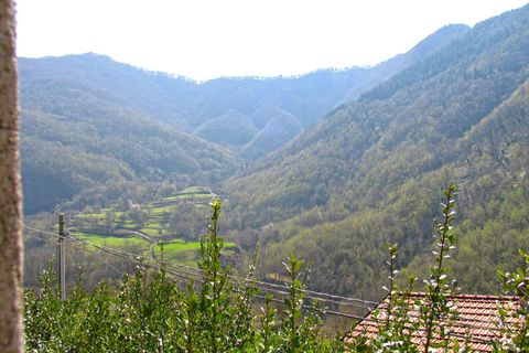 Landejendom i Comano, Massa and Carrara, Comano - € 120.000 | Ref: 431 - foto 45