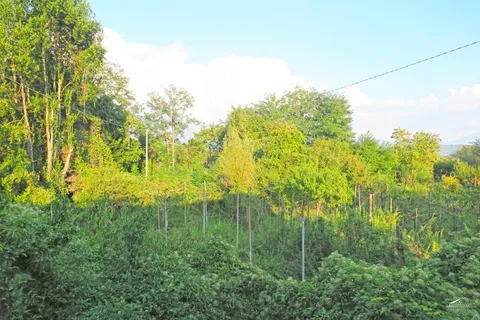 Villa i Mulazzo, Massa and Carrara, Mulazzo - € 120.000 | Ref: 181A - foto 37
