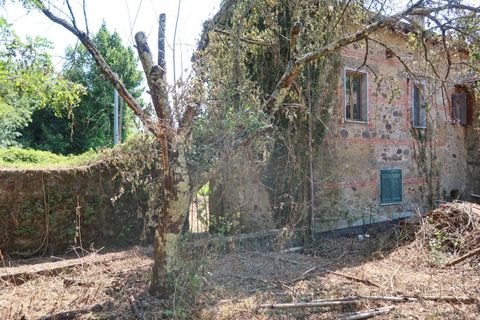 Villa i Mulazzo, Massa and Carrara, Mulazzo - € 120.000 | Ref: 181A - foto 11