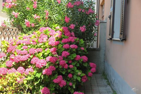 Rækkehus i Aulla, Massa and Carrara, Aulla - € 135.000 | Ref: 005B - foto 44