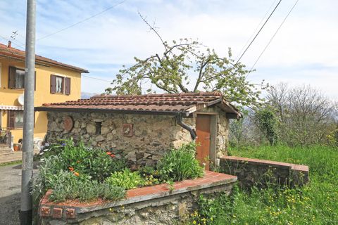 Rækkehus i Tresana, Massa and Carrara, Tresana - € 65.000 | Ref: 004B - foto 31