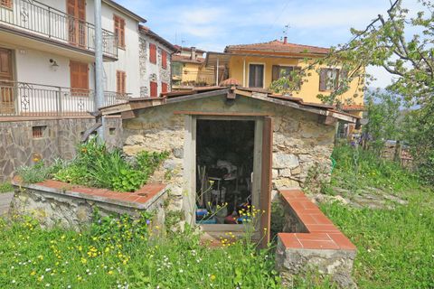 Rækkehus i Tresana, Massa and Carrara, Tresana - € 65.000 | Ref: 004B - foto 32