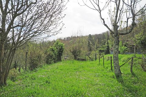 Rækkehus i Tresana, Massa and Carrara, Tresana - € 65.000 | Ref: 004B - foto 33