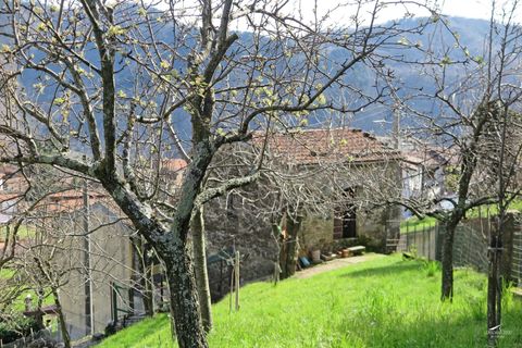 Landejendom i Comano, Massa and Carrara, Comano - € 85.000 | Ref: 178A - foto 12