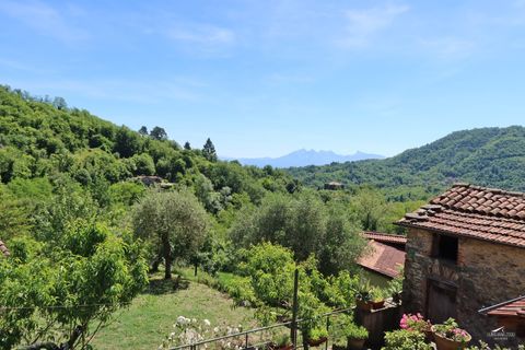 Rækkehus i Tresana, Massa and Carrara, Tresana - € 65.000 | Ref: 258A - foto 23