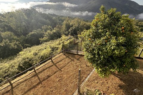 Rækkehus i Podenzana, Massa and Carrara, Podenzana - € 168.000 | Ref: 393A - foto 29