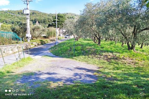 Rækkehus i Podenzana, Massa and Carrara, Podenzana - € 168.000 | Ref: 393A - foto 39