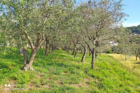 Rækkehus i Podenzana, Massa and Carrara, Podenzana - € 168.000 | Ref: 393A - foto 40