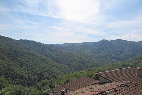 Rækkehus i Tresana, Massa and Carrara, Tresana - € 70.000 | Ref: 405A - foto 10