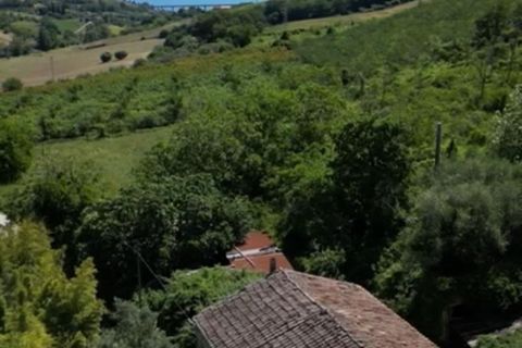 Villa i Campofilone, Fermo, Campofilone - € 279.000 | Ref: es5554861 - foto 3