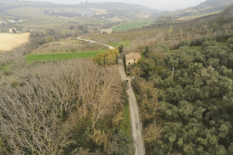 Villa i Campofilone, Fermo, Campofilone - € 279.000 | Ref: es5554861 - foto 5