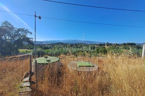 Helårsgrund i Fundao, Castelo Branco, Fundao - € 120.000 | Ref: 394250121 - foto 3