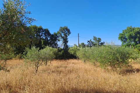Helårsgrund i Fundao, Castelo Branco, Fundao - € 120.000 | Ref: 394250121 - foto 4