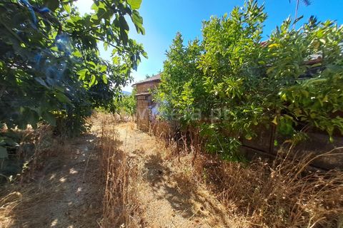 Helårsgrund i Fundao, Castelo Branco, Fundao - € 120.000 | Ref: 394250121 - foto 9