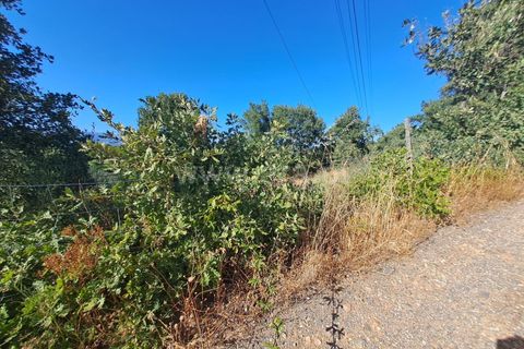 Helårsgrund i Fundao, Castelo Branco, Fundao - € 120.000 | Ref: 394250121 - foto 11