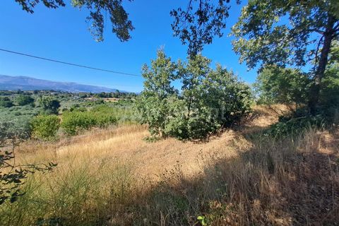 Helårsgrund i Fundao, Castelo Branco, Fundao - € 120.000 | Ref: 394250121 - foto 12