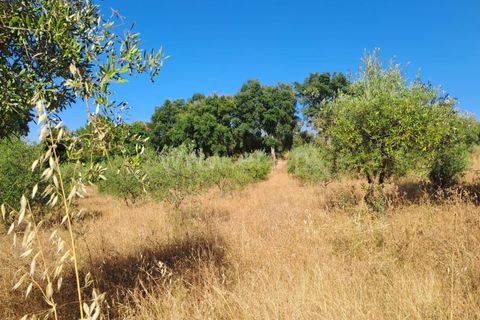 Helårsgrund i Fundao, Castelo Branco, Fundao - € 120.000 | Ref: 394250121 - foto 13