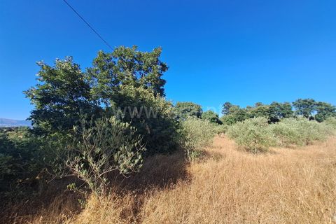 Helårsgrund i Fundao, Castelo Branco, Fundao - € 120.000 | Ref: 394250121 - foto 14