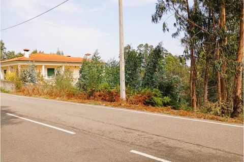 Helårsgrund i Agueda, Aveiro, Agueda - € 38.000 | Ref: 25006 - foto 2
