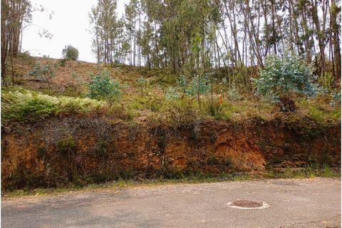 Helårsgrund i Agueda, Aveiro, Agueda - € 38.000 | Ref: 25006 - foto 3