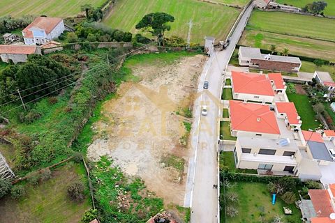 Terra a Terroso, Porto, Terroso - € 130.000 | Ref: RL-130-514 - foto 4