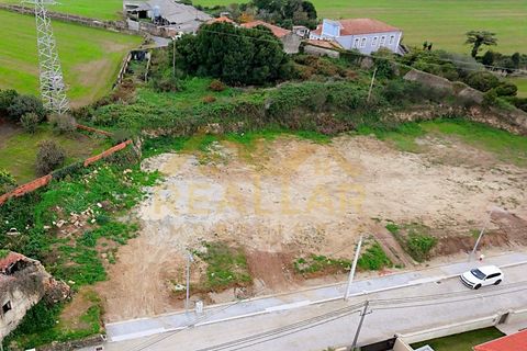 Terra a Terroso, Porto, Terroso - € 130.000 | Ref: RL-130-514 - foto 3