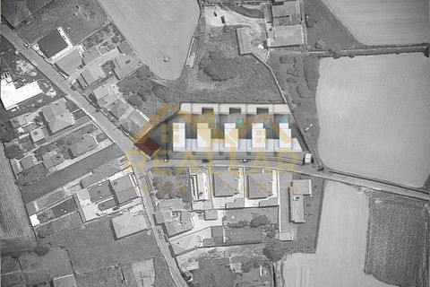 Terra a Terroso, Porto, Terroso - € 130.000 | Ref: RL-130-514 - foto 5