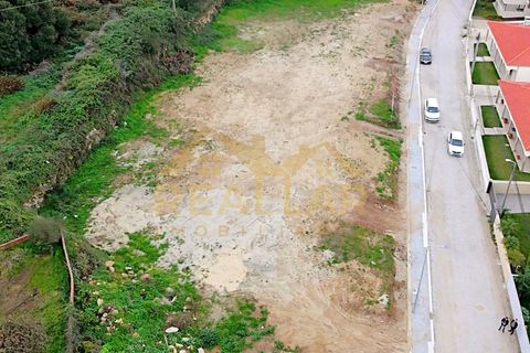 Terra a Terroso, Porto, Terroso - € 130.000 | Ref: RL-130-514 - foto 9